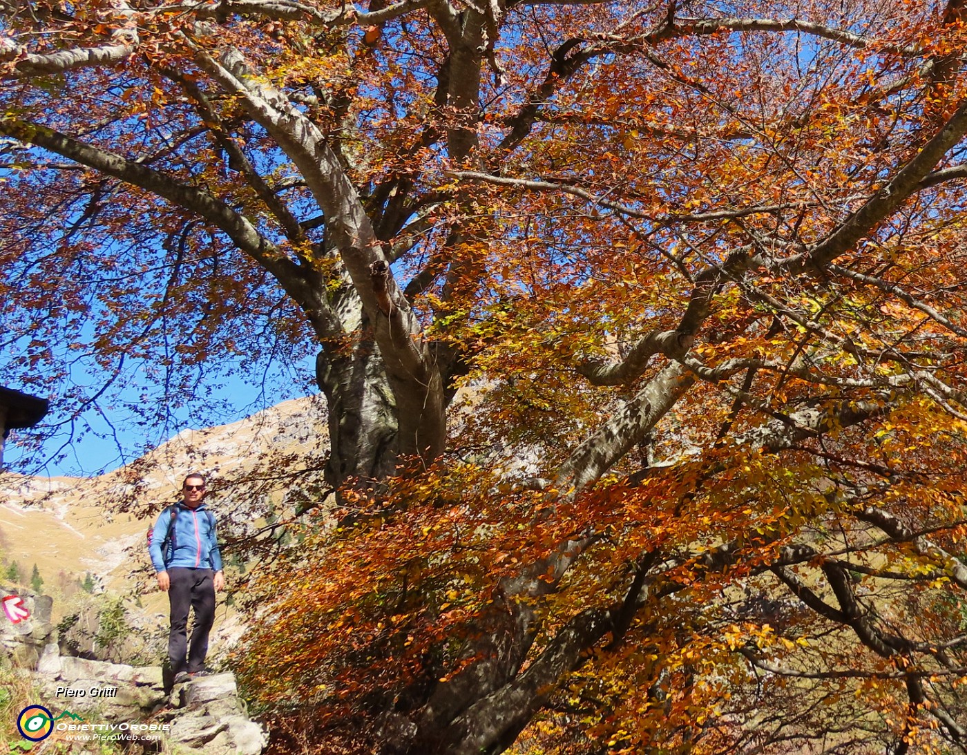 13 Alla Cascina Mattuida (1470 m).JPG